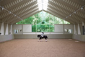 Equestrian Steel Buildings | BORGA